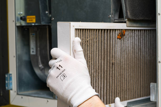 Best Ventilation Cleaning Services  in Hoschton, GA