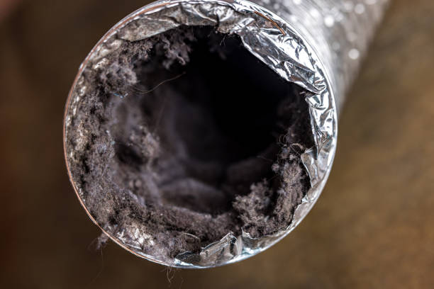 Best Home Air Vent Cleaning  in Hoschton, GA